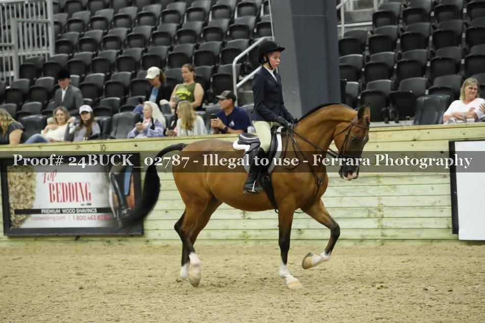 Proof 24BUCK_02787