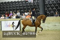24BUCK_02788 proof