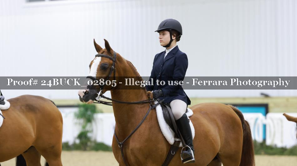 Proof 24BUCK_02805