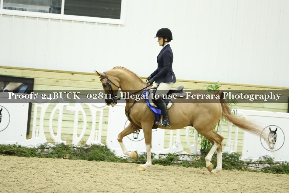 Proof 24BUCK_02811