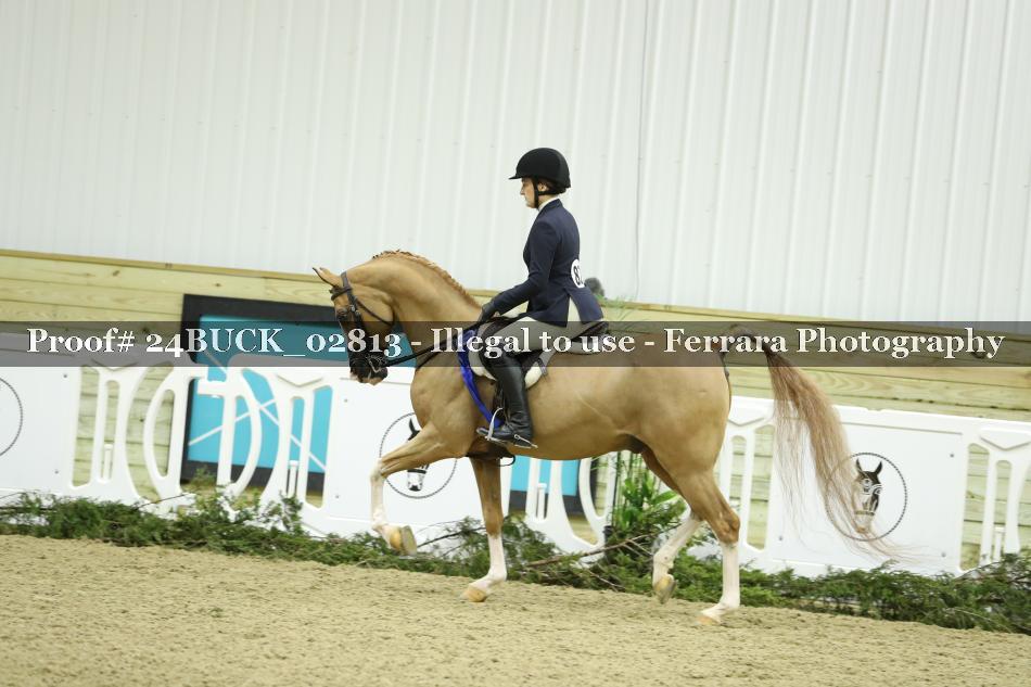 Proof 24BUCK_02813