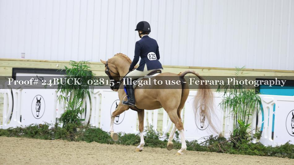 Proof 24BUCK_02815