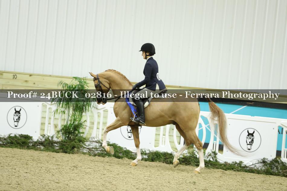 Proof 24BUCK_02816