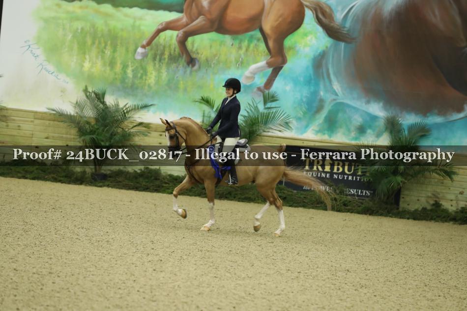 Proof 24BUCK_02817