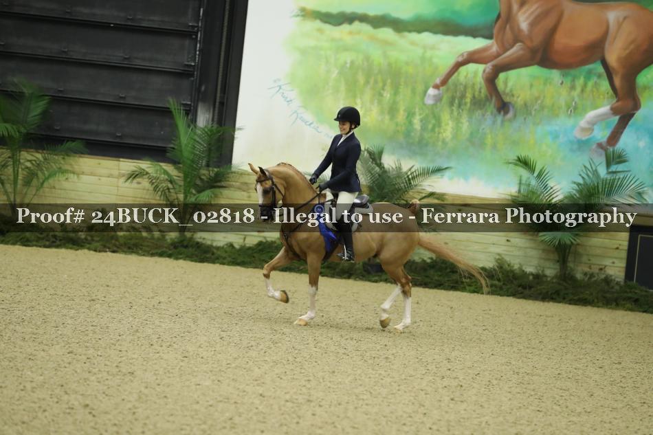 Proof 24BUCK_02818