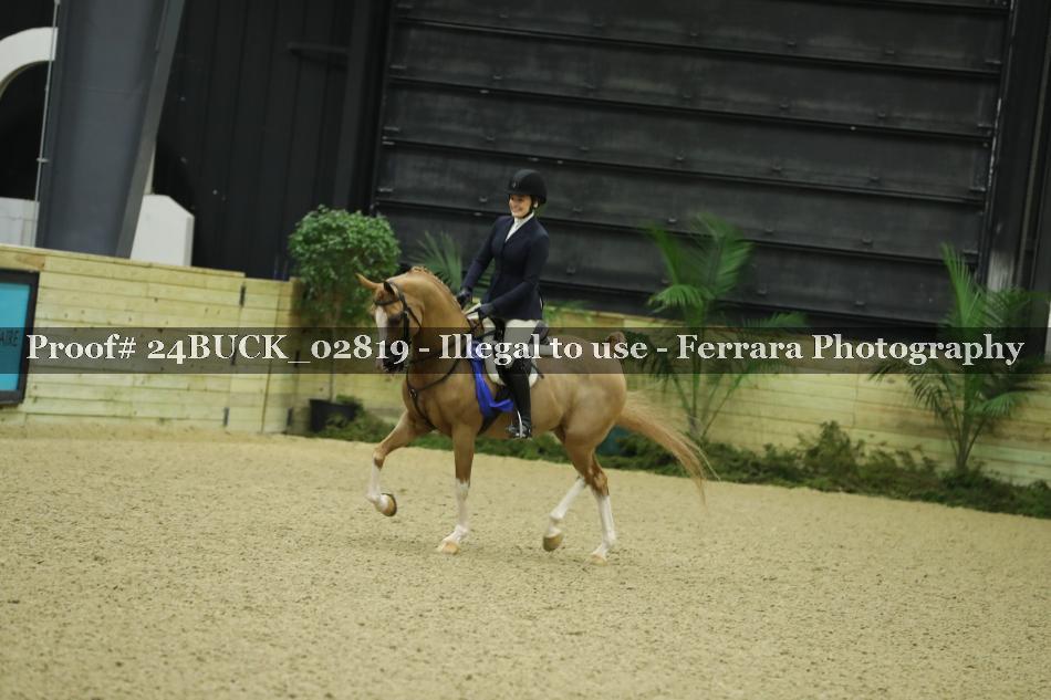 Proof 24BUCK_02819