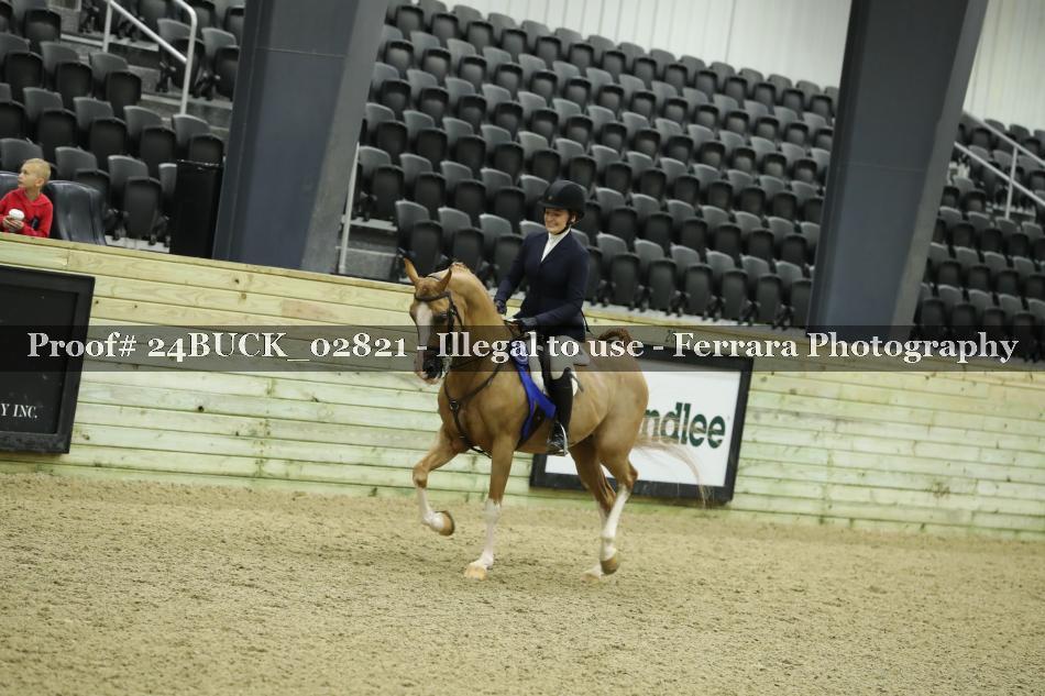 Proof 24BUCK_02821