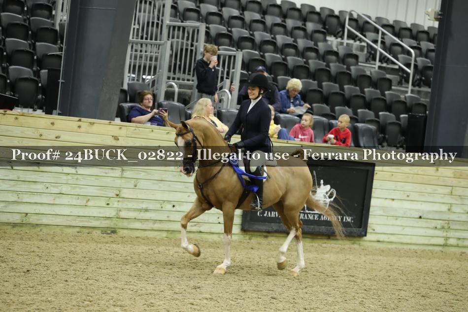 Proof 24BUCK_02822