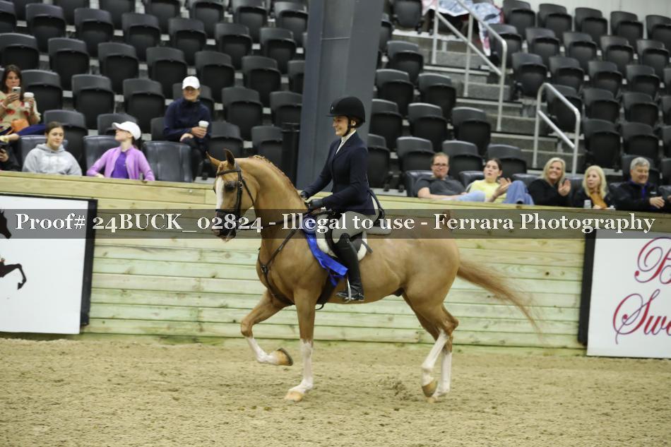 Proof 24BUCK_02824