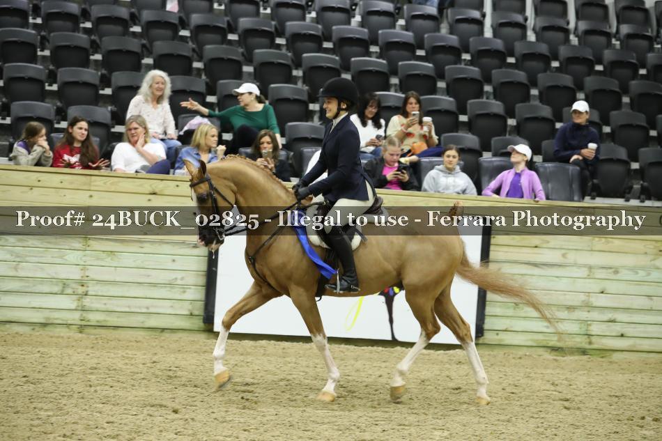 Proof 24BUCK_02825