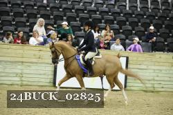 24BUCK_02825 proof
