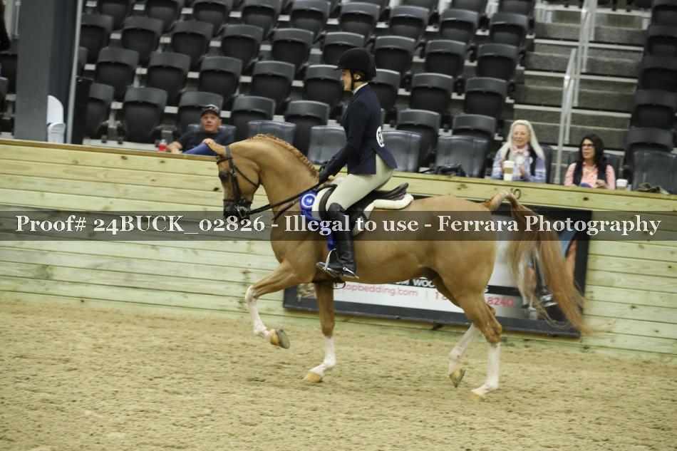 Proof 24BUCK_02826