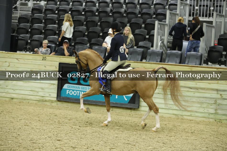 Proof 24BUCK_02827