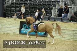 24BUCK_02827 proof