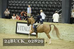 24BUCK_02829 proof