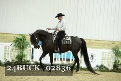 24BUCK_02836 proof