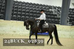 24BUCK_02839 proof