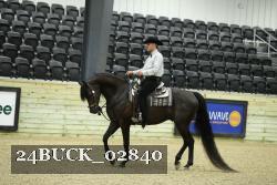 24BUCK_02840 proof