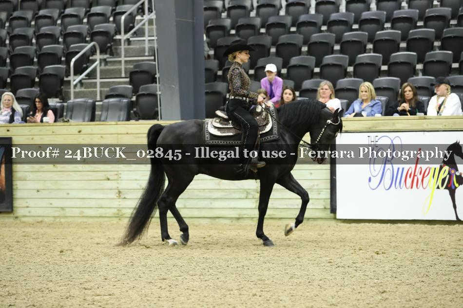 Proof 24BUCK_02845