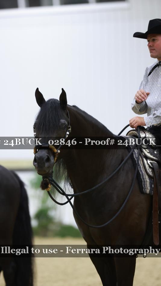 Proof 24BUCK_02846
