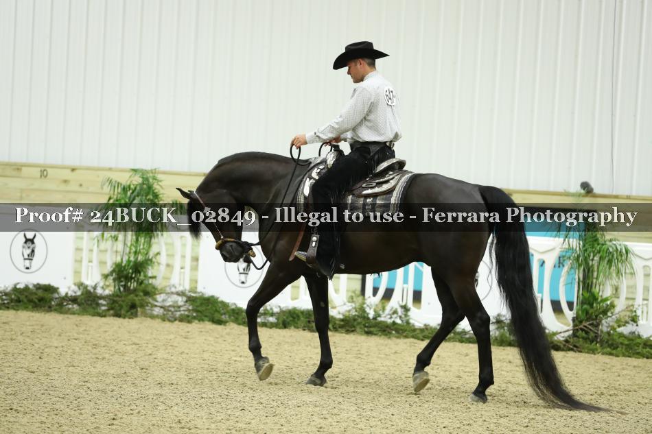 Proof 24BUCK_02849