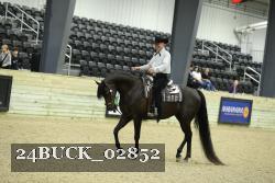 24BUCK_02852 proof