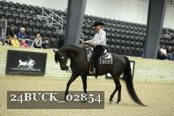 24BUCK_02854 proof