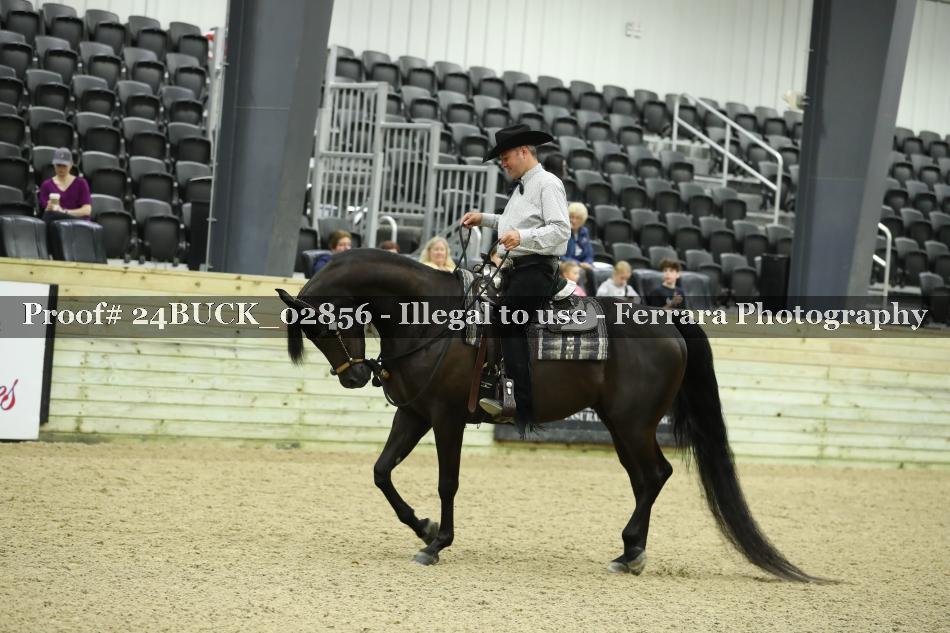 Proof 24BUCK_02856