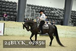 24BUCK_02856 proof