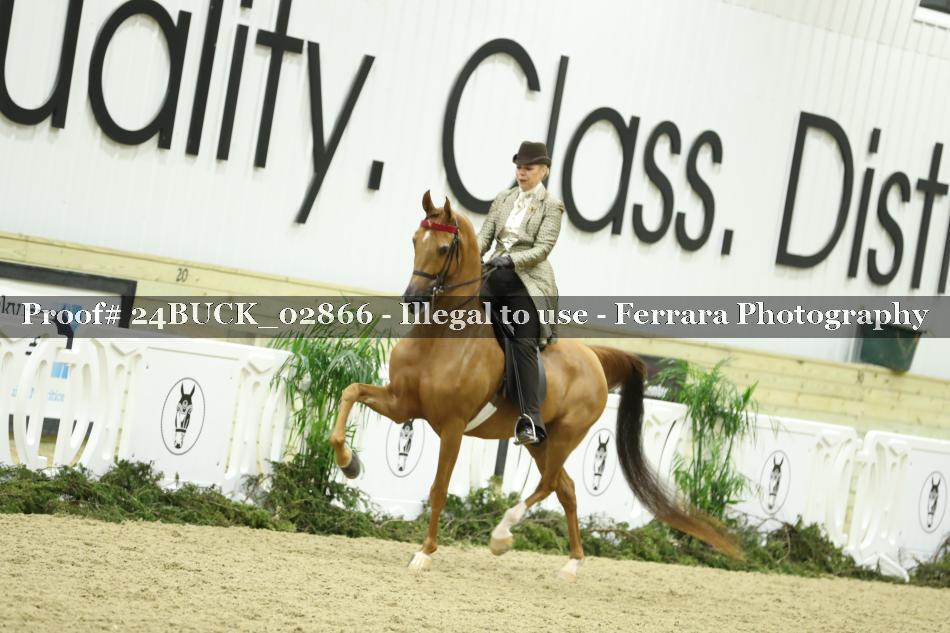 Proof 24BUCK_02866