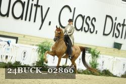 24BUCK_02866 proof