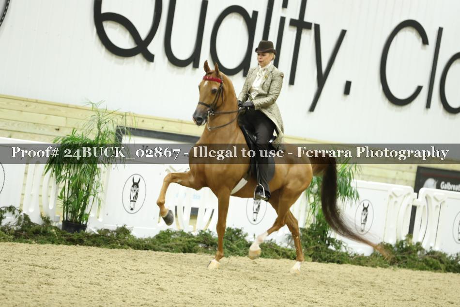 Proof 24BUCK_02867