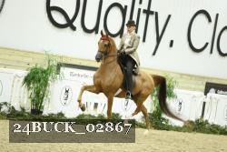 24BUCK_02867 proof