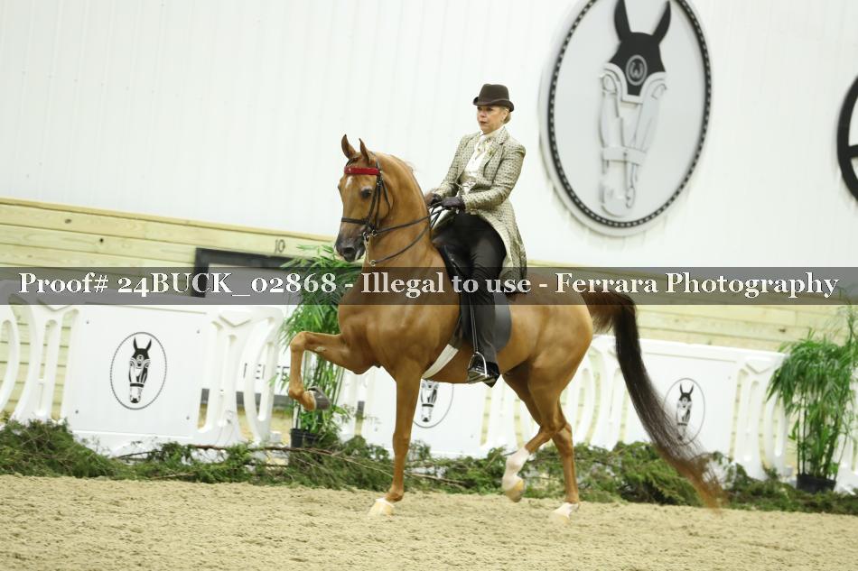Proof 24BUCK_02868