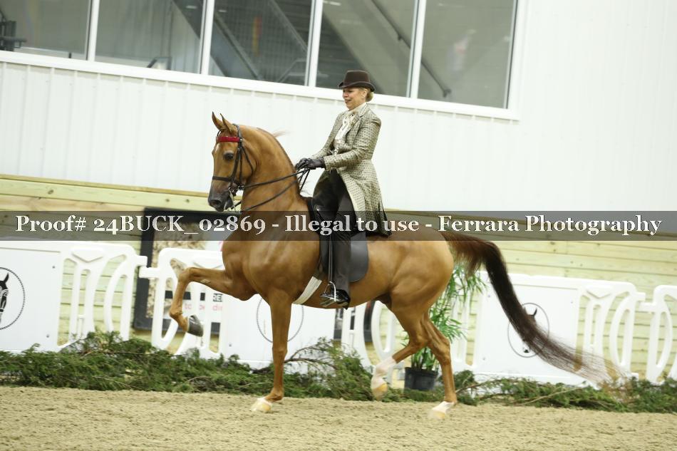 Proof 24BUCK_02869