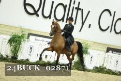 24BUCK_02871 proof