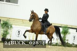 24BUCK_02874 proof