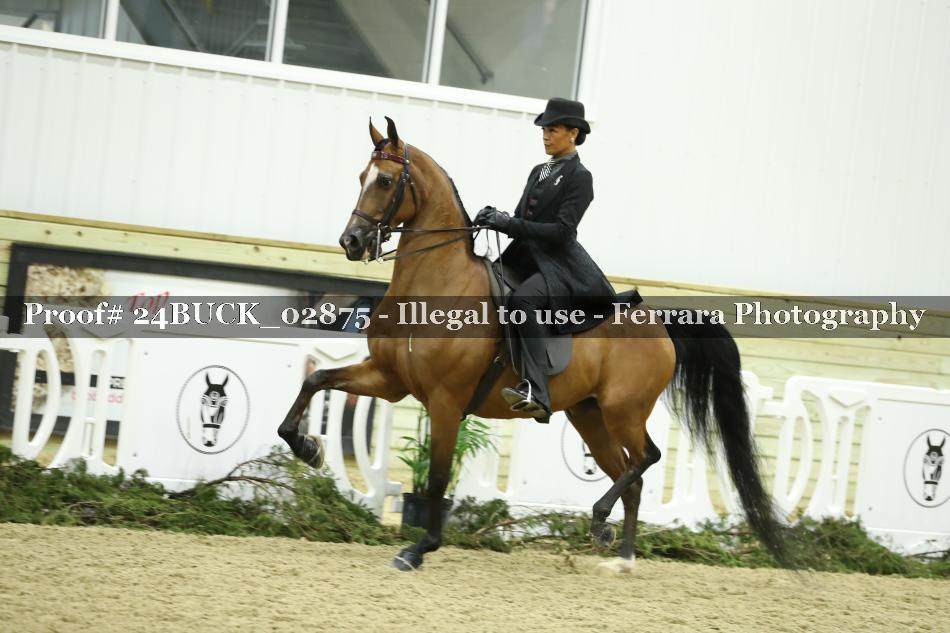 Proof 24BUCK_02875