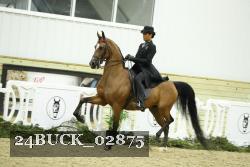 24BUCK_02875 proof
