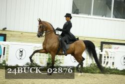 24BUCK_02876 proof