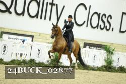 24BUCK_02877 proof