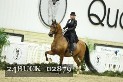 24BUCK_02879 proof