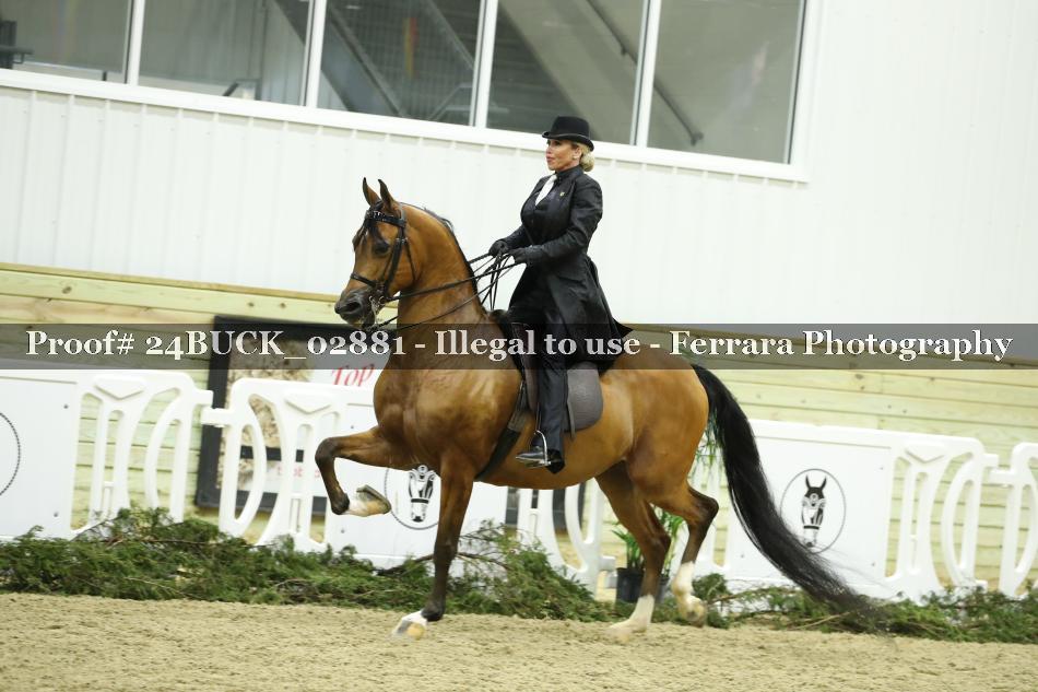 Proof 24BUCK_02881