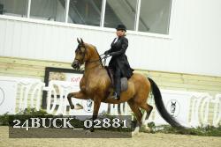 24BUCK_02881 proof
