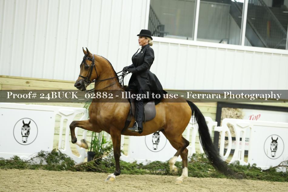 Proof 24BUCK_02882