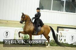 24BUCK_02882 proof