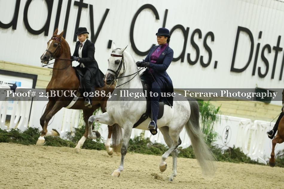 Proof 24BUCK_02884