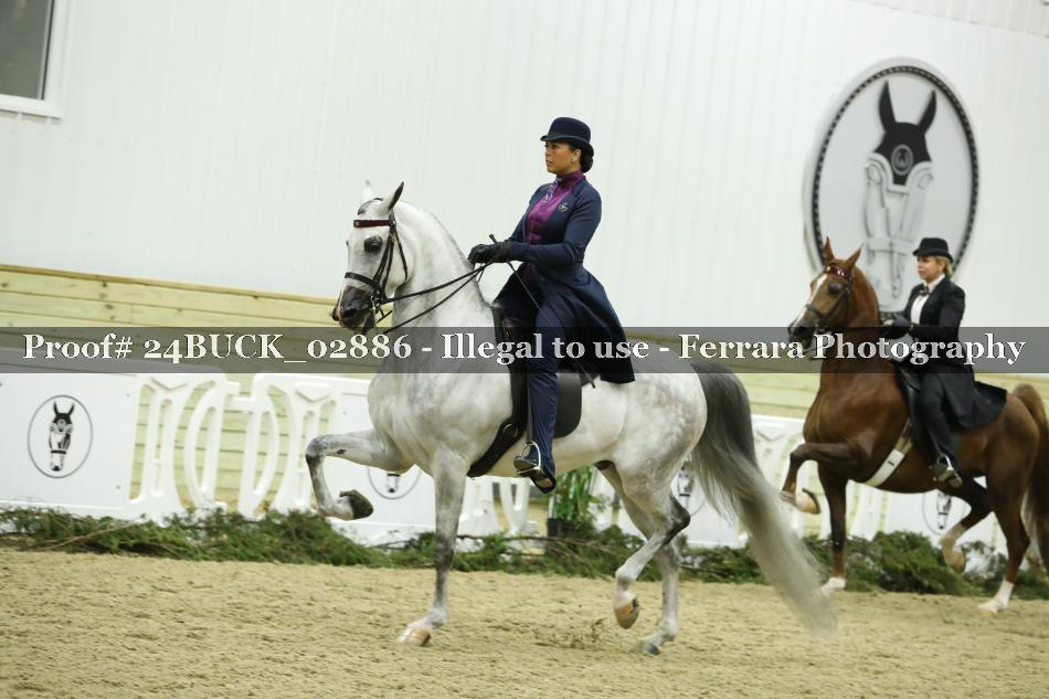 Proof 24BUCK_02886