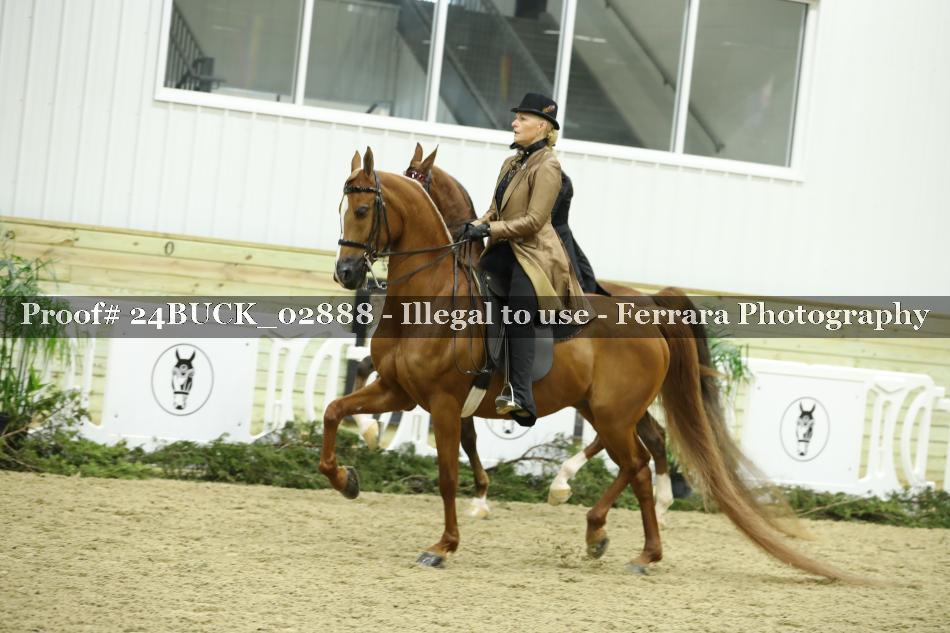 Proof 24BUCK_02888