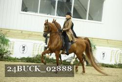 24BUCK_02888 proof